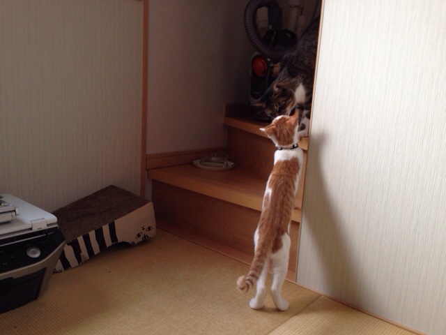 f:id:akiyochan15:20131006150110j:image:w518 f:id:akiyochan15:20131006150110j:image:w518