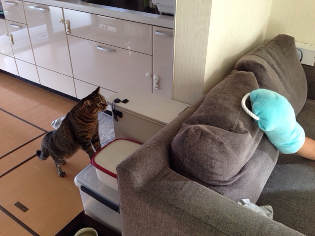 f:id:akiyochan15:20131006150111j:image:w518 f:id:akiyochan15:20131006150111j:image:w518