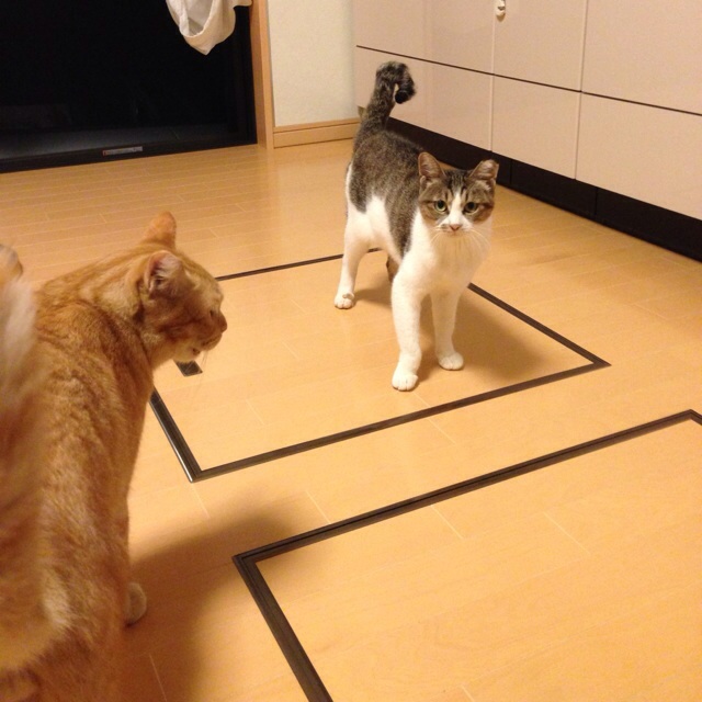 f:id:akiyochan15:20131011134845j:image:w450