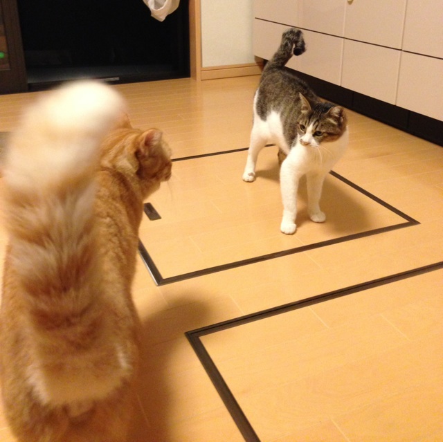 f:id:akiyochan15:20131011134846j:image:w450