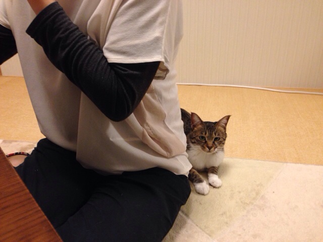 f:id:akiyochan15:20131019223944j:image:w518