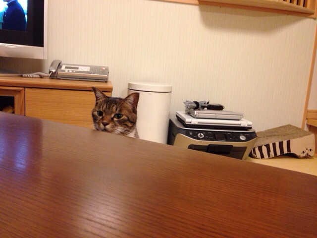 f:id:akiyochan15:20131019223946j:image:w518