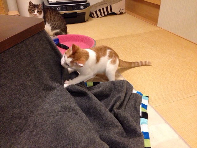 f:id:akiyochan15:20131020130654j:image:w518