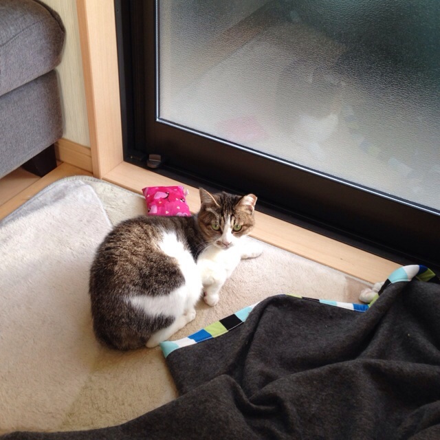 f:id:akiyochan15:20131028233656j:image:w450