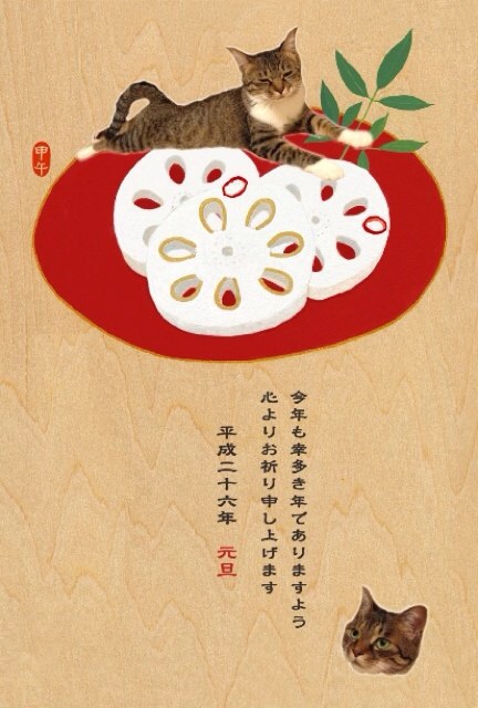 f:id:akiyochan15:20140103152531j:image:w240 f:id:akiyochan15:20140103152531j:image:w240