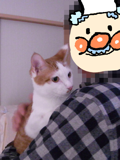 f:id:akiyochan15:20140103182711j:image f:id:akiyochan15:20140103182711j:image