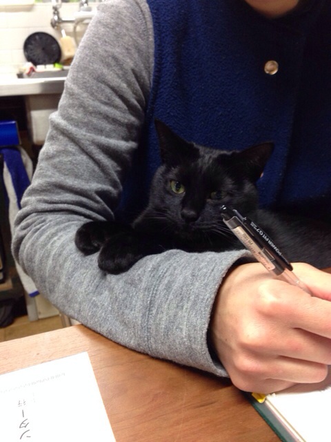 f:id:akiyochan15:20140107182654j:image:w320