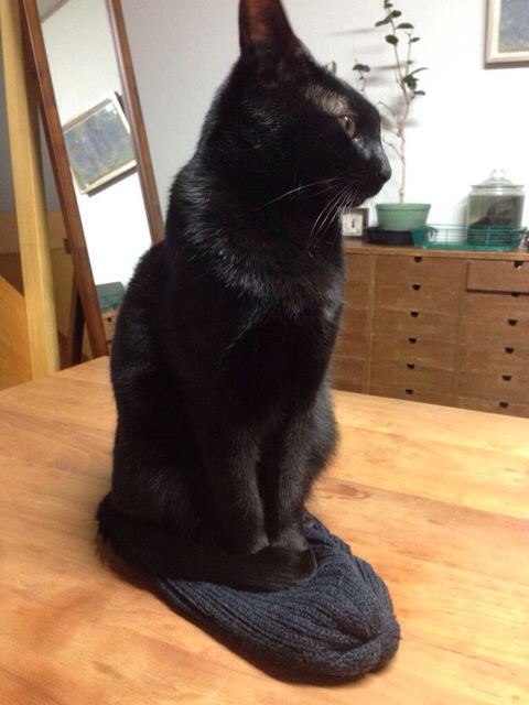 f:id:akiyochan15:20140107182655j:image:w320