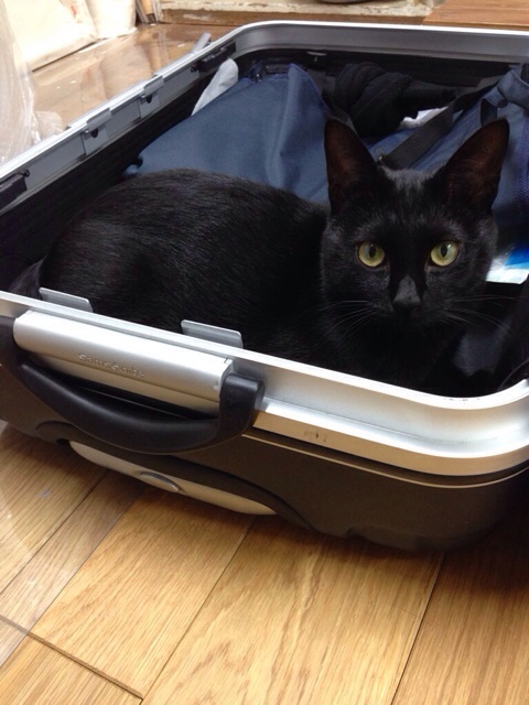 f:id:akiyochan15:20140107182725j:image:w320