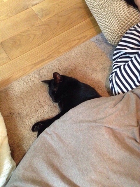 f:id:akiyochan15:20140107182726j:image:w320