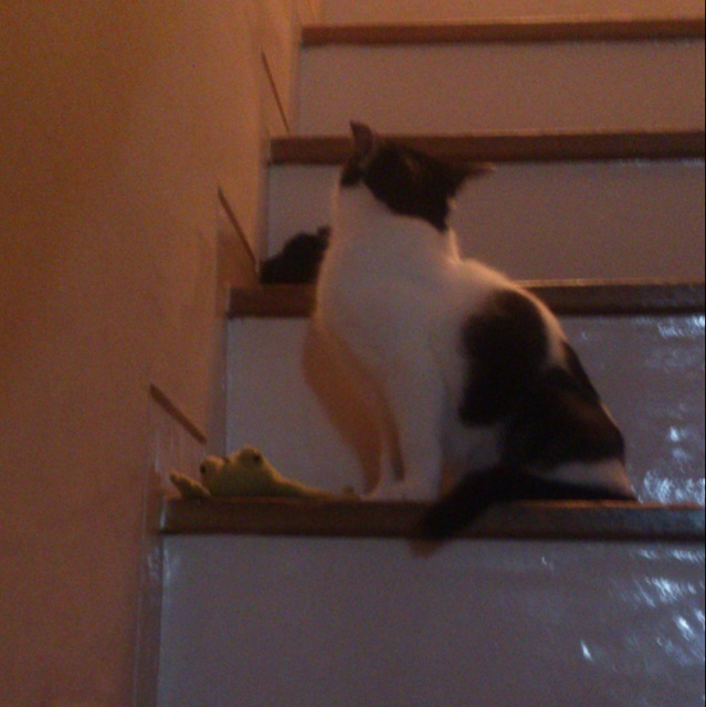 f:id:akiyochan15:20140112135555j:image:w389