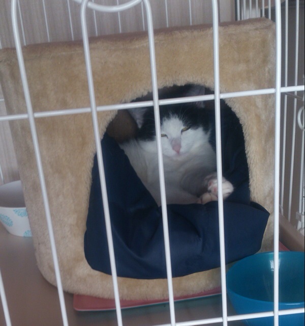 f:id:akiyochan15:20140112135557j:image:w389