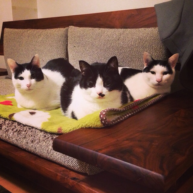 f:id:akiyochan15:20140209043016j:image:w400