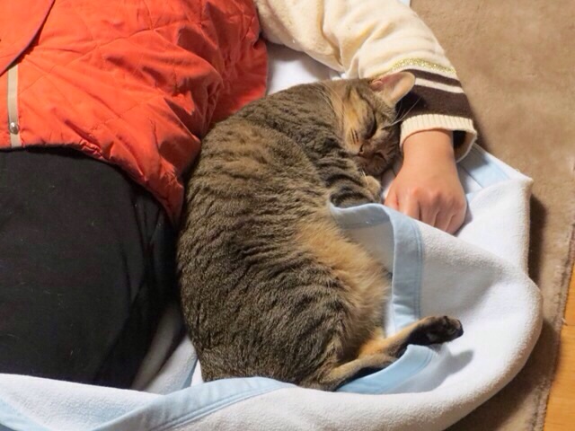 f:id:akiyochan15:20140209173833j:image:w518