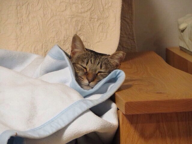 f:id:akiyochan15:20140209173834j:image:w518