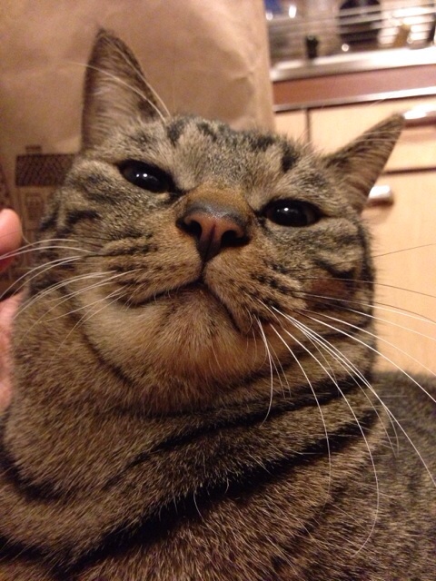 f:id:akiyochan15:20140211200223j:image:w389