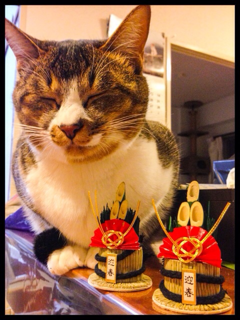 f:id:akiyochan15:20140211200224j:image:w389