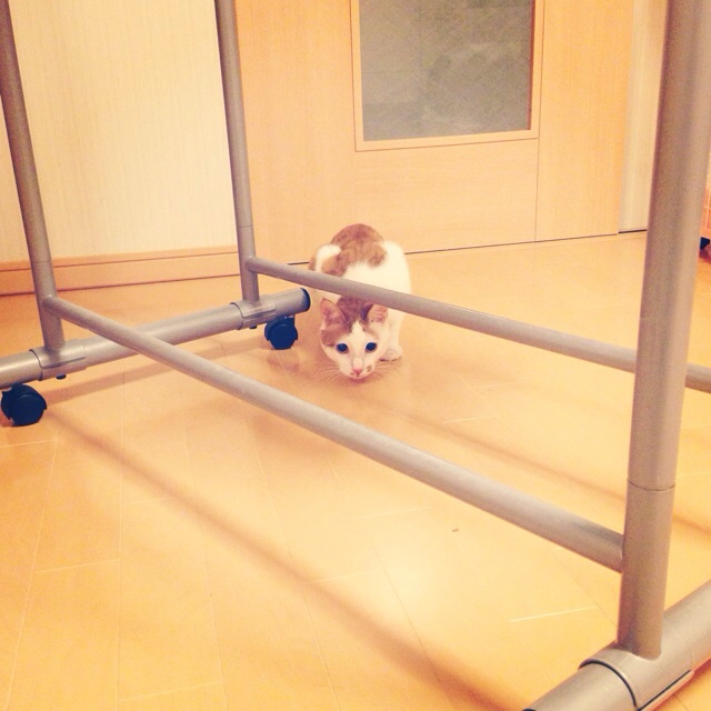 f:id:akiyochan15:20140217235207j:image:w400