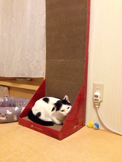 f:id:akiyochan15:20140218211807j:image:w389