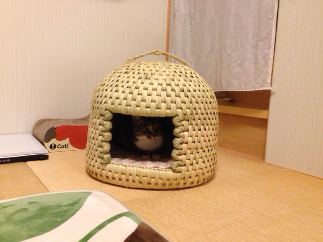 f:id:akiyochan15:20140219232350j:image:w518