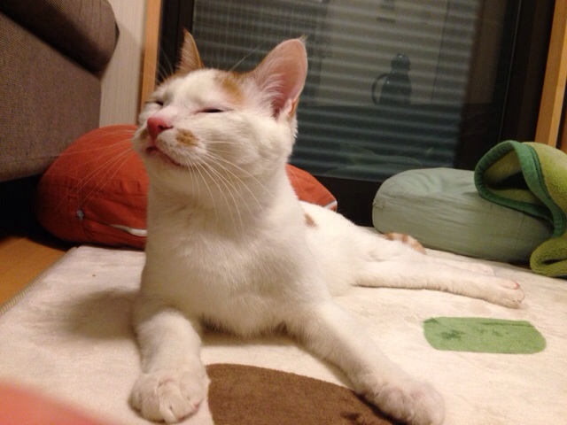 f:id:akiyochan15:20140224000802j:image:w518