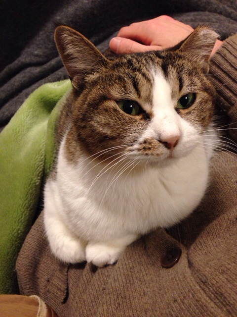 f:id:akiyochan15:20140227033906j:image:w389