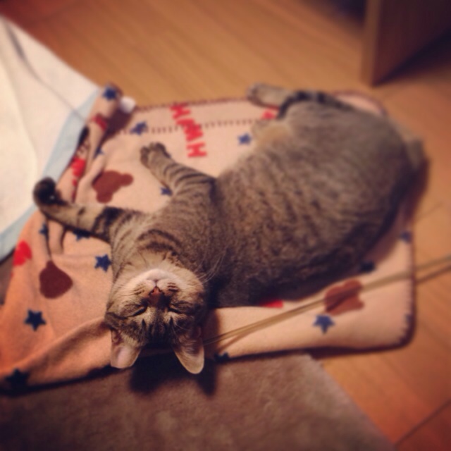 f:id:akiyochan15:20140302001820j:image:w400