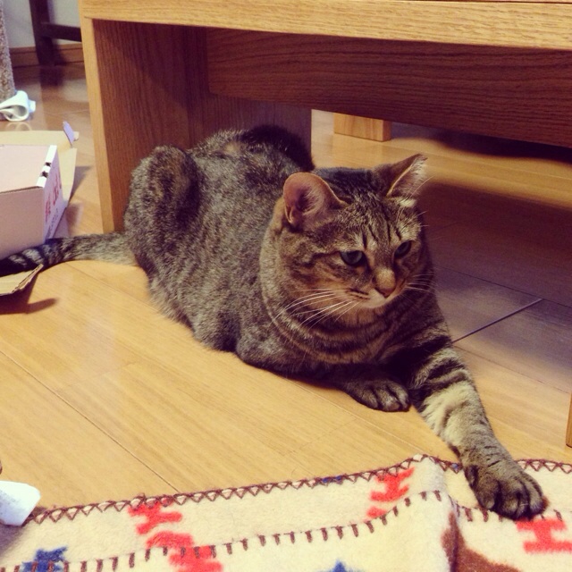 f:id:akiyochan15:20140302001821j:image:w400