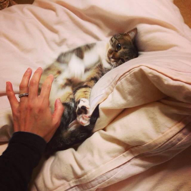 f:id:akiyochan15:20140306002644j:image:w400