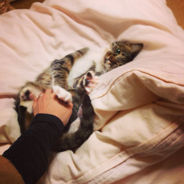 f:id:akiyochan15:20140306002645j:image:w400