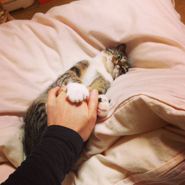 f:id:akiyochan15:20140306002646j:image:w400