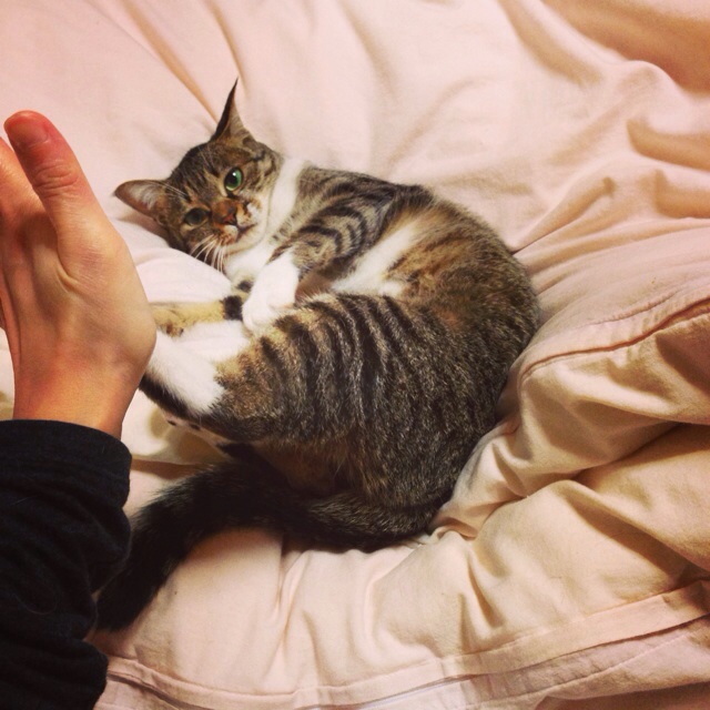 f:id:akiyochan15:20140306002647j:image:w400