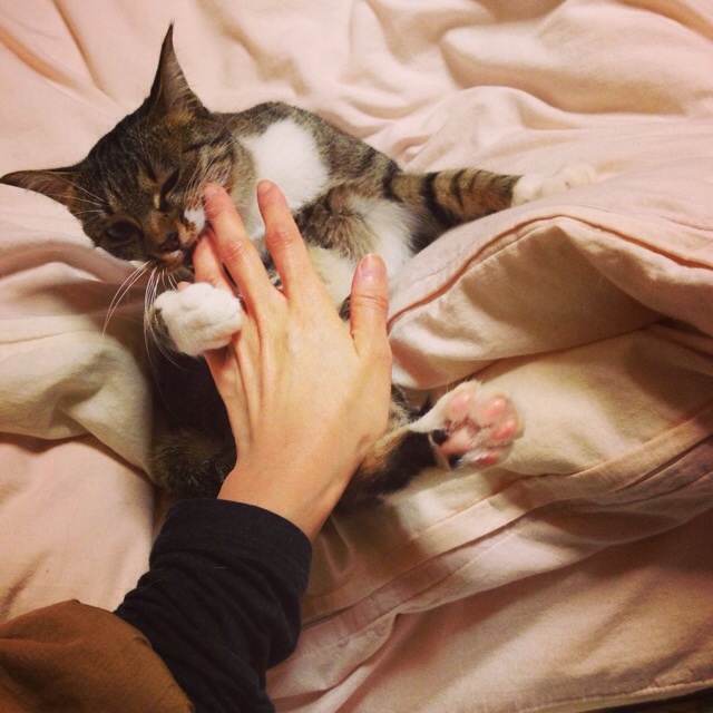 f:id:akiyochan15:20140306002648j:image:w400