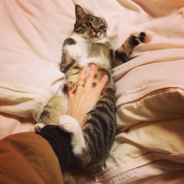 f:id:akiyochan15:20140306002723j:image:w400