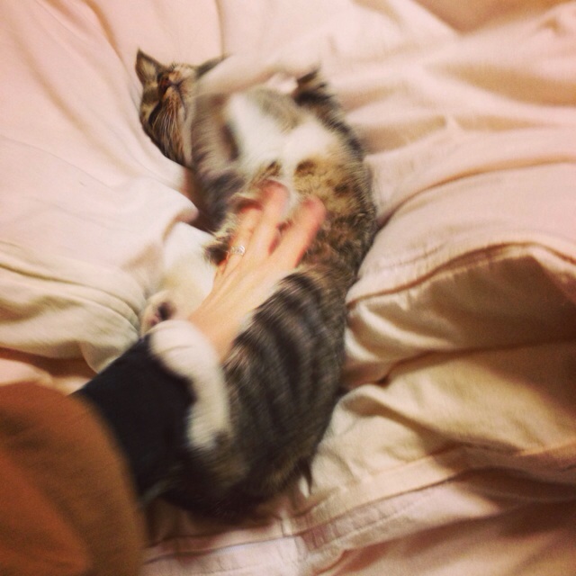 f:id:akiyochan15:20140306002724j:image:w400