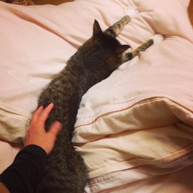 f:id:akiyochan15:20140306002725j:image:w400