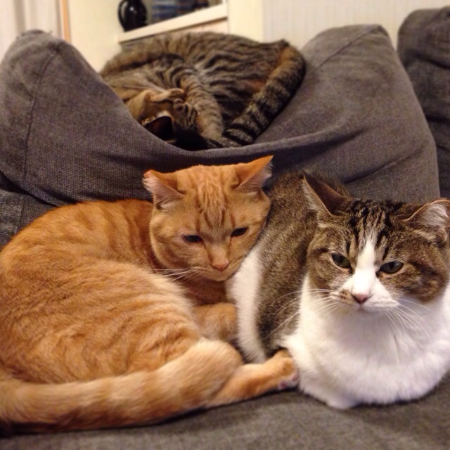 f:id:akiyochan15:20140306215818j:image:w400