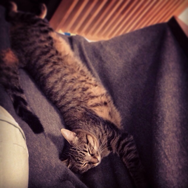 f:id:akiyochan15:20140309002824j:image:w400