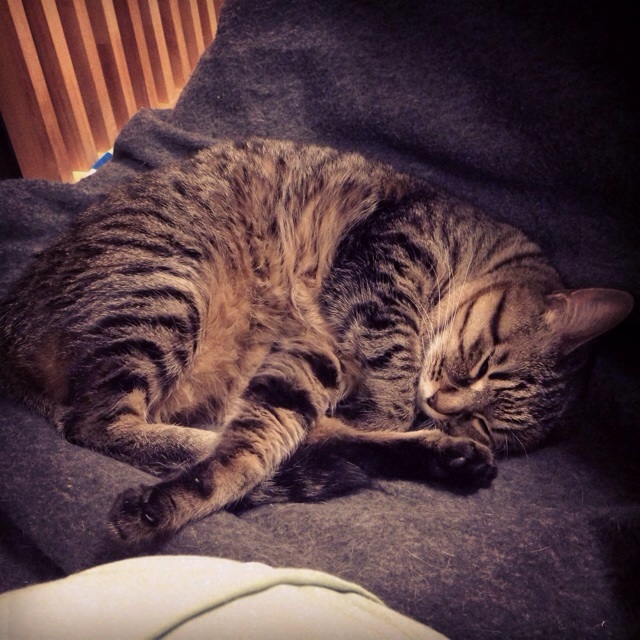 f:id:akiyochan15:20140309002825j:image:w400