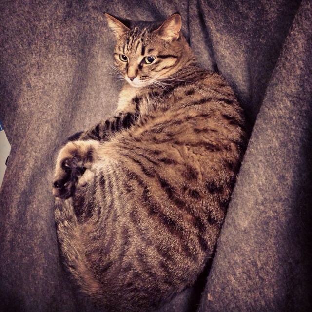 f:id:akiyochan15:20140309002826j:image:w400