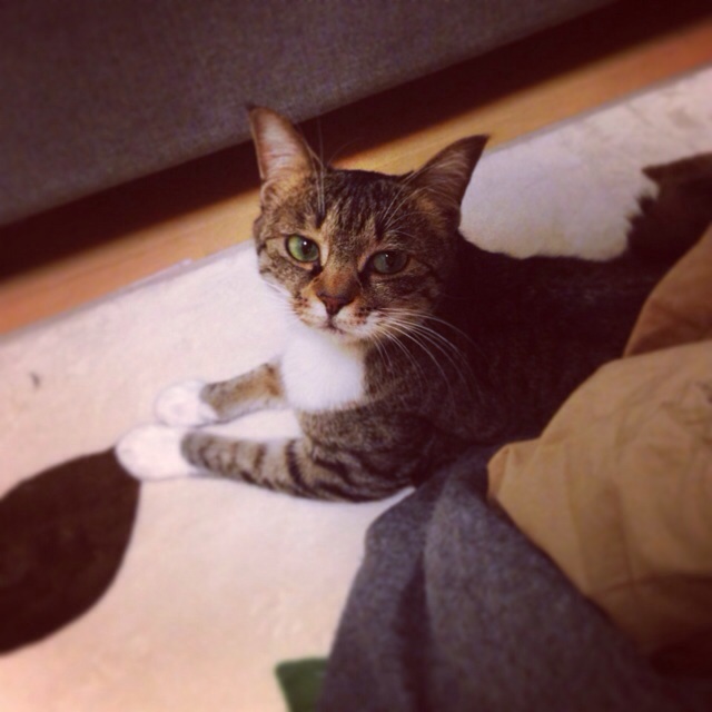 f:id:akiyochan15:20140314023557j:image:w400