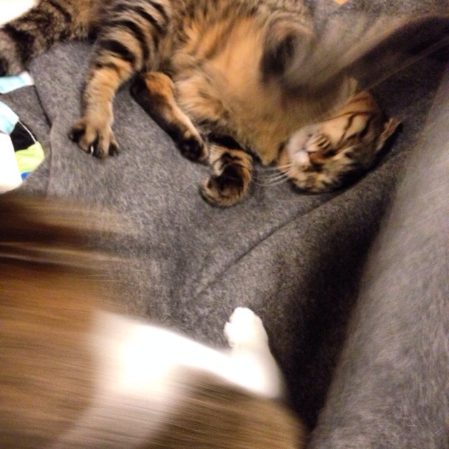 f:id:akiyochan15:20140315044255j:image:w400 f:id:akiyochan15:20140315044255j:image:w400