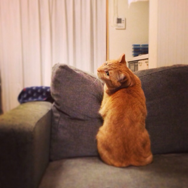 f:id:akiyochan15:20140406164044j:image:w400