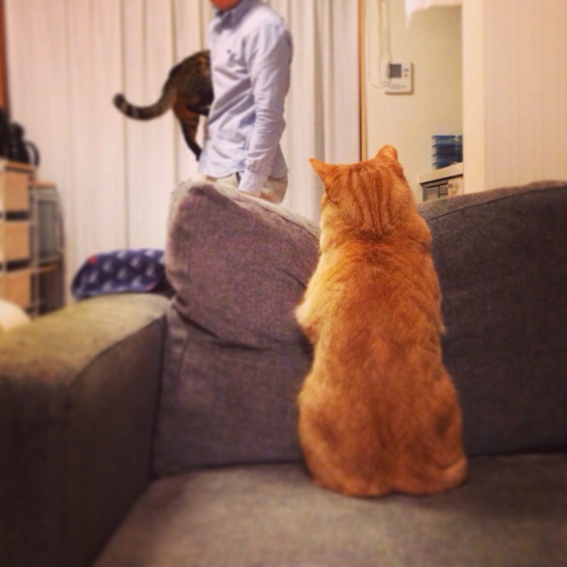 f:id:akiyochan15:20140406164045j:image:w400