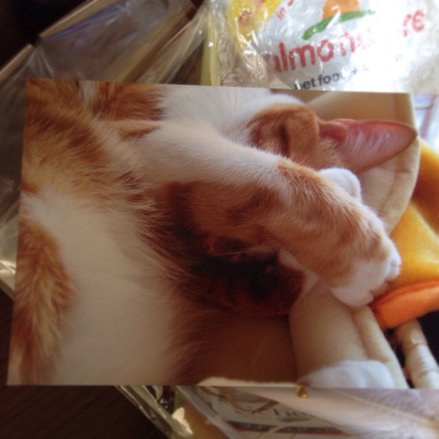 f:id:akiyochan15:20140406165244j:image:w400