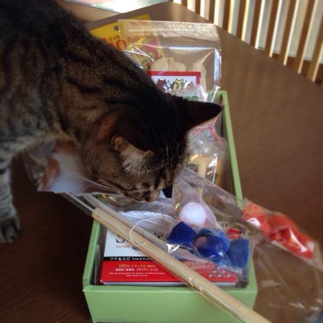 f:id:akiyochan15:20140406165245j:image:w400