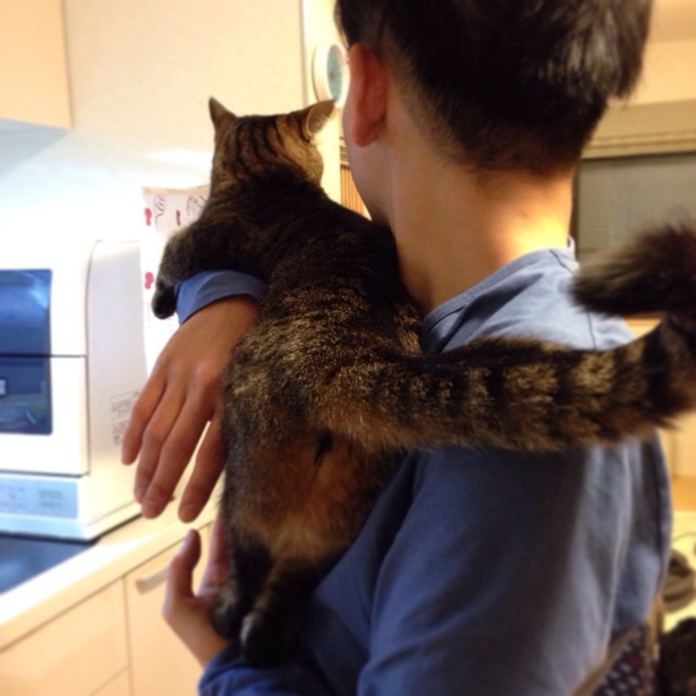 f:id:akiyochan15:20140408231827j:image:w400