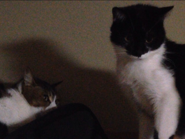 f:id:akiyochan15:20140426190925j:image:w400 f:id:akiyochan15:20140426190925j:image:w400