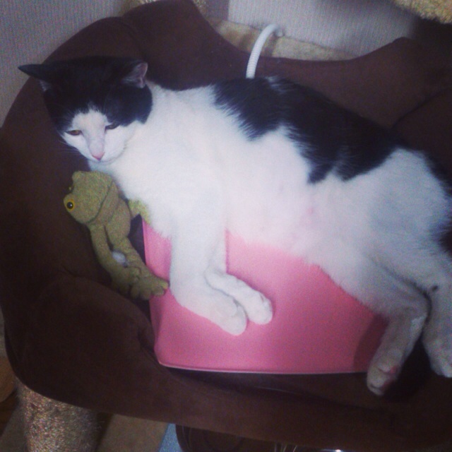 f:id:akiyochan15:20140426190927j:image:w400 f:id:akiyochan15:20140426190927j:image:w400