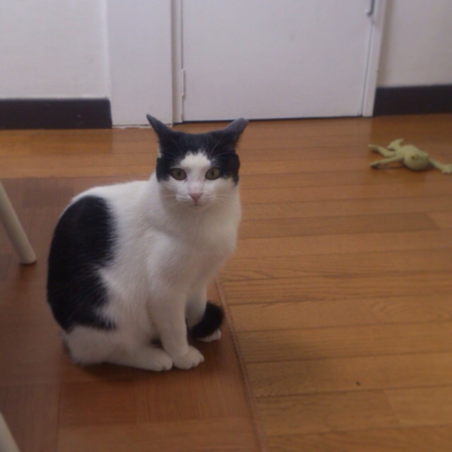 f:id:akiyochan15:20140426190928j:image:w400 f:id:akiyochan15:20140426190928j:image:w400